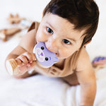 Baby holding a purple teddy bear-shaped teether
