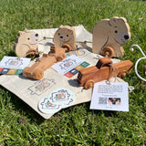 Wooden truck, indy car and pull toy laying in the grass with tags, stickers and cotton drawstring bags.