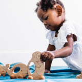 Easy Grasp Penguin Push Toy