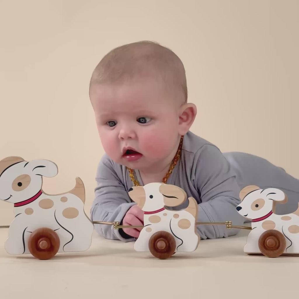 An adorable baby captivated by a pull behind dog toy.