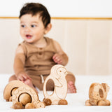 Roly Poly Turtle Push Toy